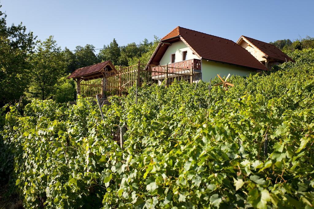 Vineyard Cottage Lustek Novo Mesto Exterior photo